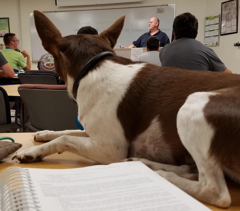 Junibug at ENMU-R Junibug at ENMU-R