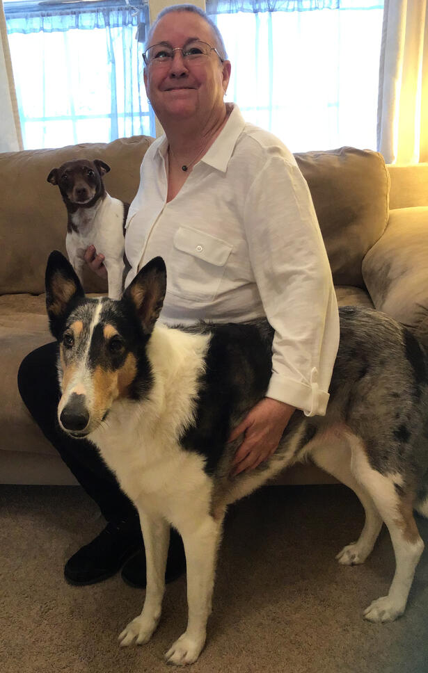 JellyBean, an American Rat Terrier, and Jassie Blue, a Smooth-coated Collie