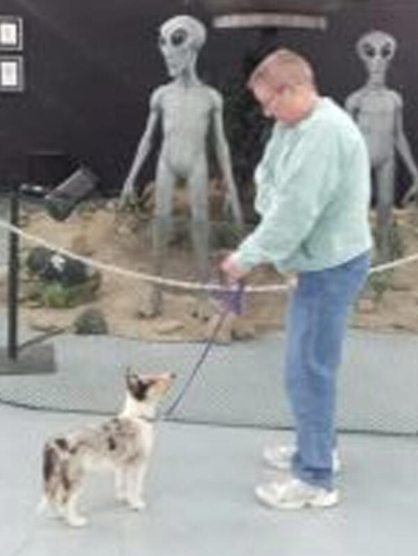 Jassie Blue, Smooth-coated Collie, with Lane at International UFO Museum