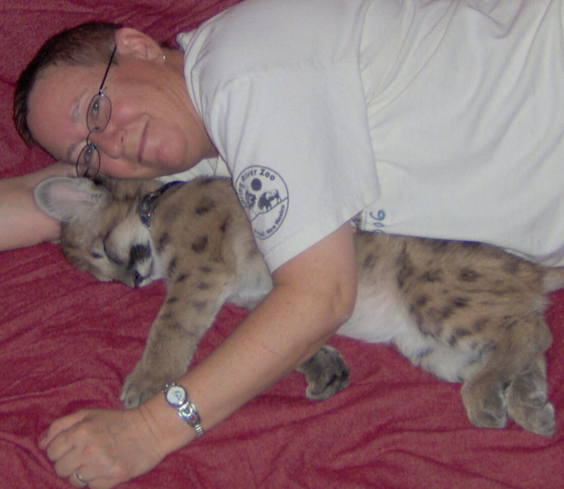 Bret, Mountain Lion cub