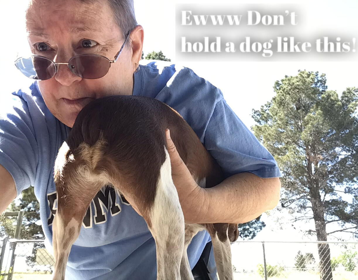 Ewww! Don't hold a dog like this!